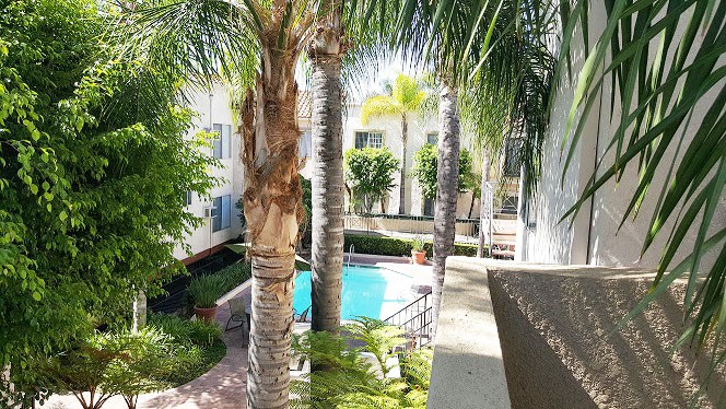 a swimming pool is surrounded by palm trees
