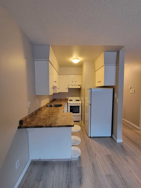 11640 124 St NW Studio-2 Beds Apartment for Rent - Photo Gallery 4