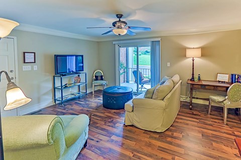 A living room with a green couch and a television.