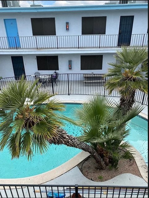 a swimming pool with palm trees in front of a building