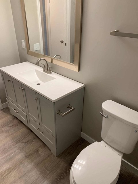 a bathroom with a toilet and a sink and a mirror