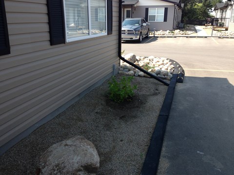 a small plant in front of a house with a driveway