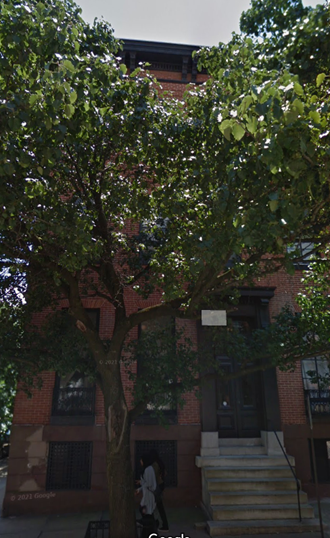 a tree in front of a red brick building