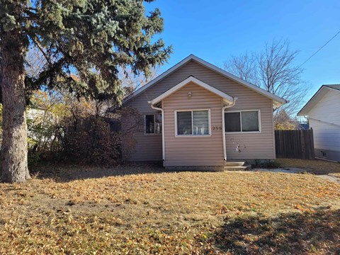 a small pink house with a tree in front of it
