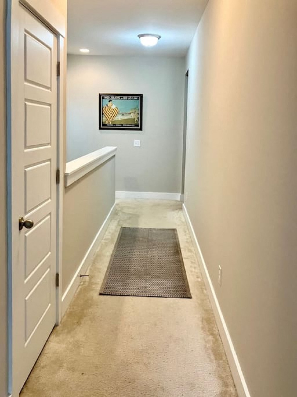 a hallway with a carpeted floor and a white door