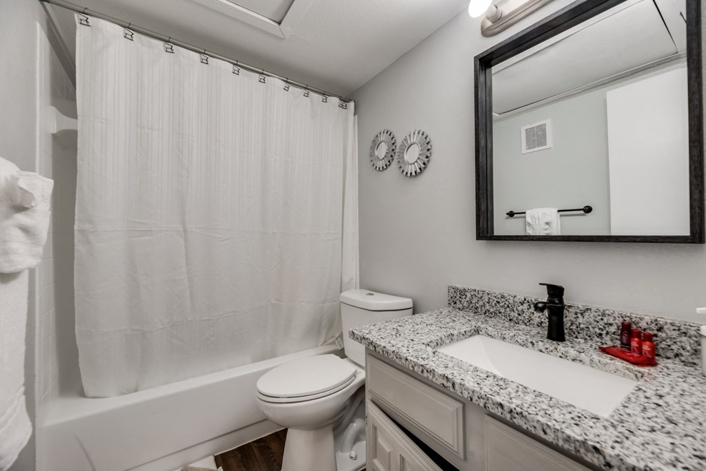 a bathroom with a shower toilet and sink and a mirror