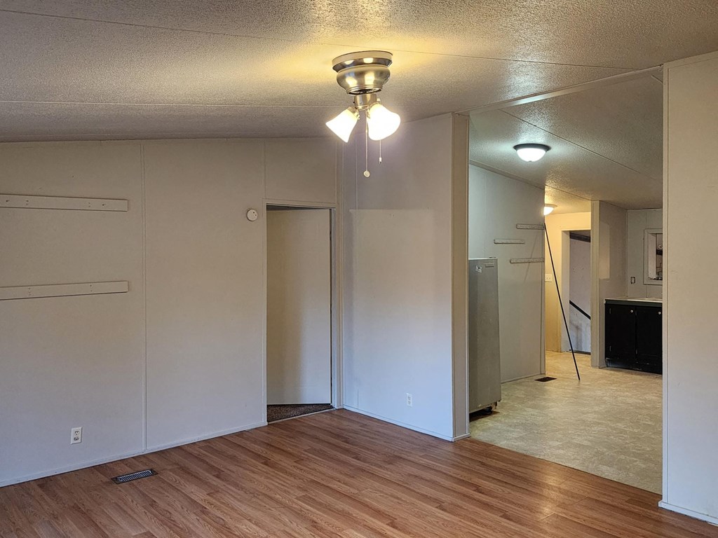 an empty living room with a wood floor and a ceiling light