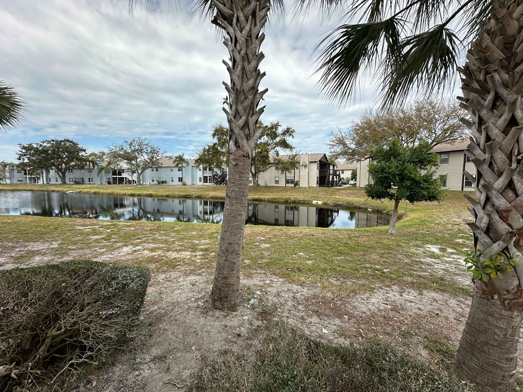 the pond in the backyard of a house with palm trees