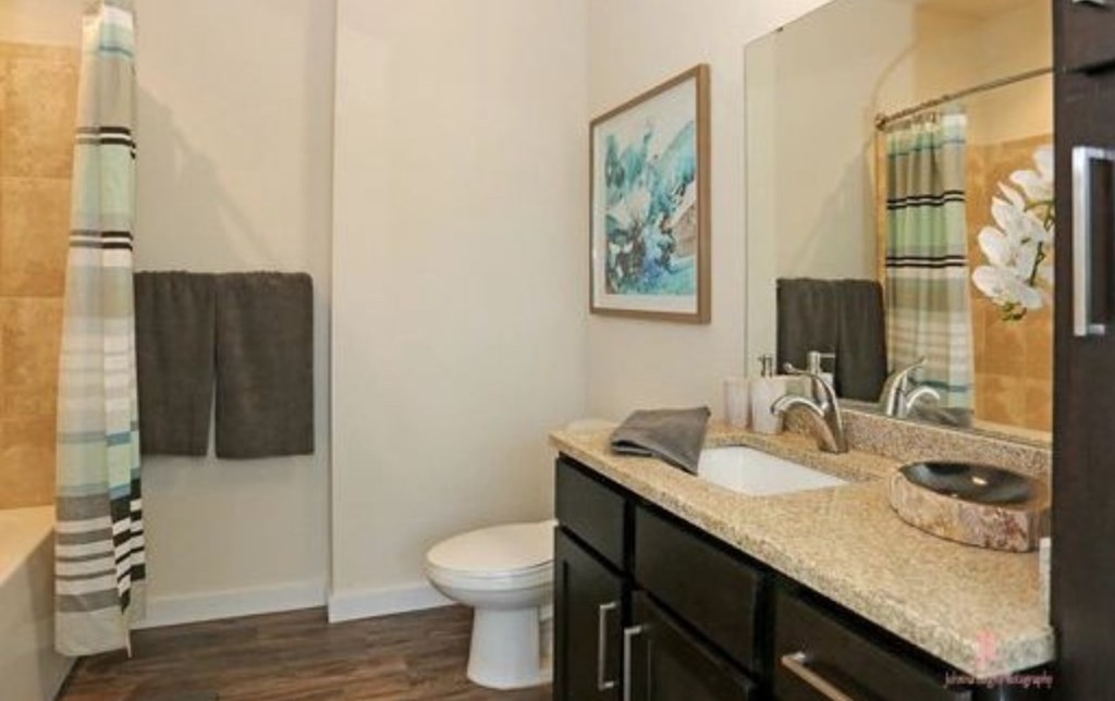 a bathroom with a sink and a toilet and a shower