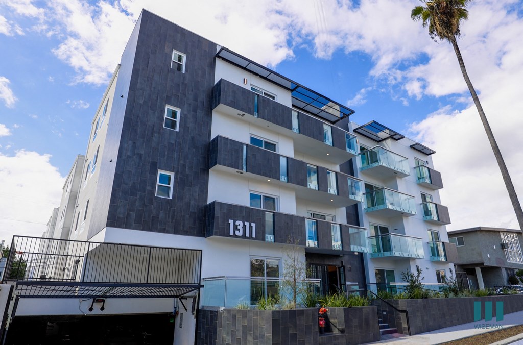 a city building with a palm tree in front of it