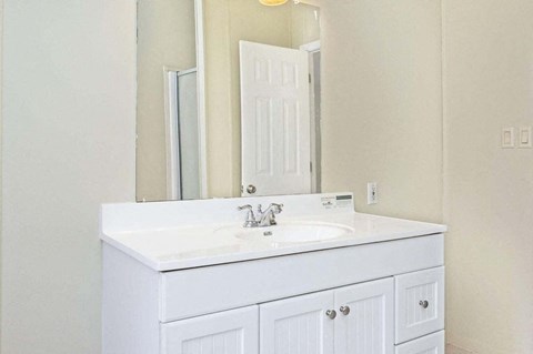 a bathroom with a white sink and a mirror