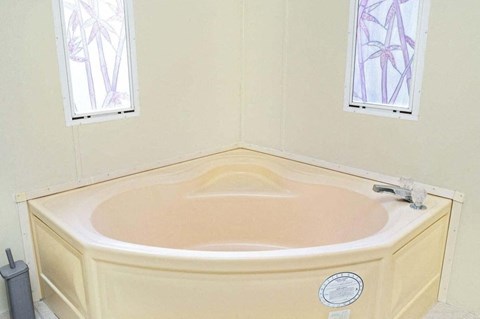 a bathroom with a bath tub and two windows
