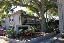 a house with a large tree in front of it