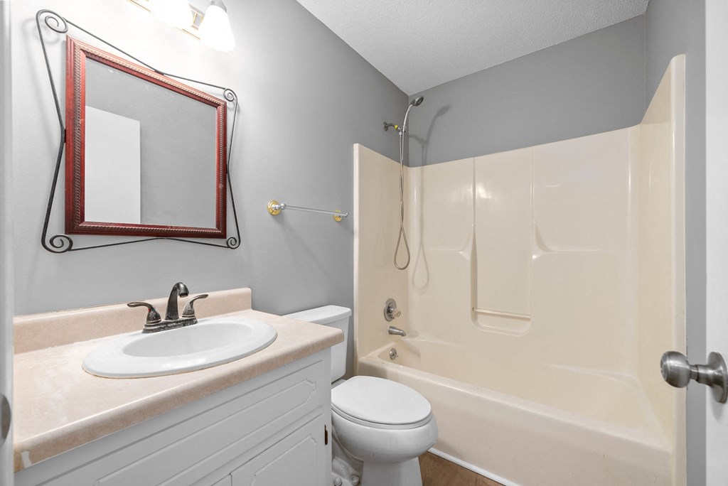 a bathroom with a shower toilet and sink and a mirror