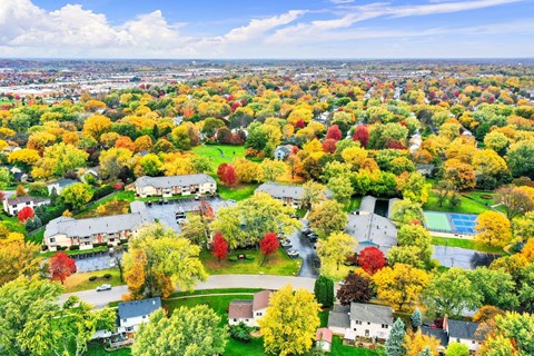 A suburban neighborhood with colorful fall foliage.
