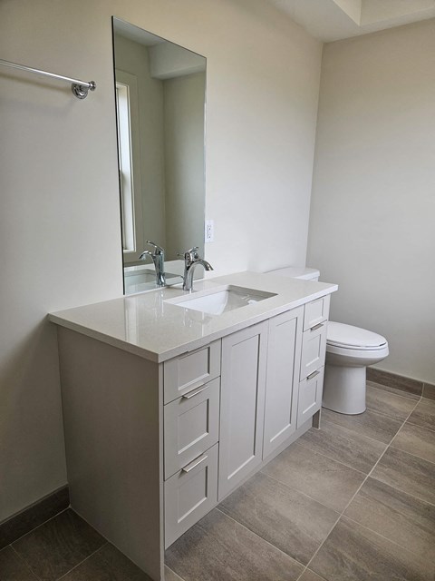 a bathroom with a sink and a toilet and a mirror