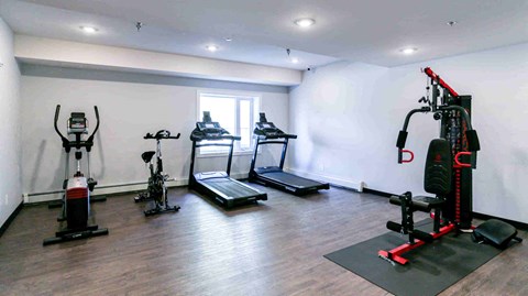 A home gym with a variety of equipment including a treadmill, rowing machine, and weights.