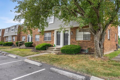 A tree in front of a brick house.