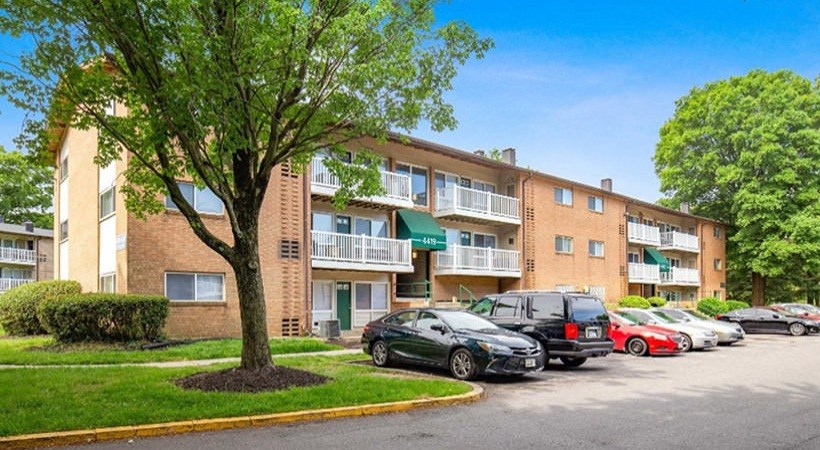 A tree in front of apartment buildings with cars parked in the parking lot.