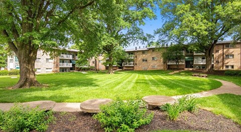 A tree in a field of grass with a building in the background.
