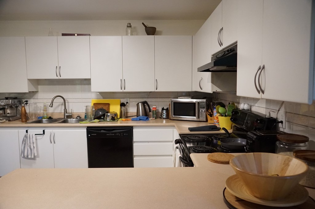 A kitchen with white cabinets and a black dishwasher.