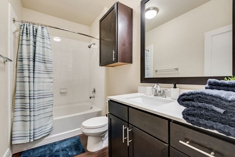 a bathroom with a sink and a shower and a toilet