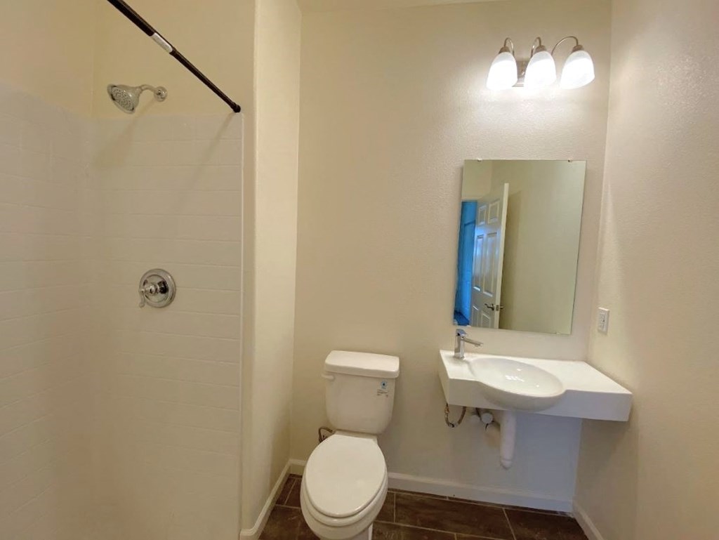 a bathroom with a sink and a toilet and a mirror