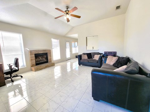 the living room has a fireplace and couches
