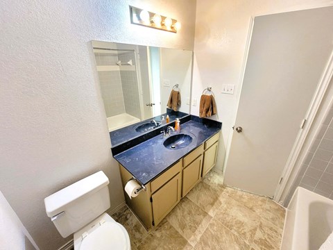 a bathroom with a sink and a toilet