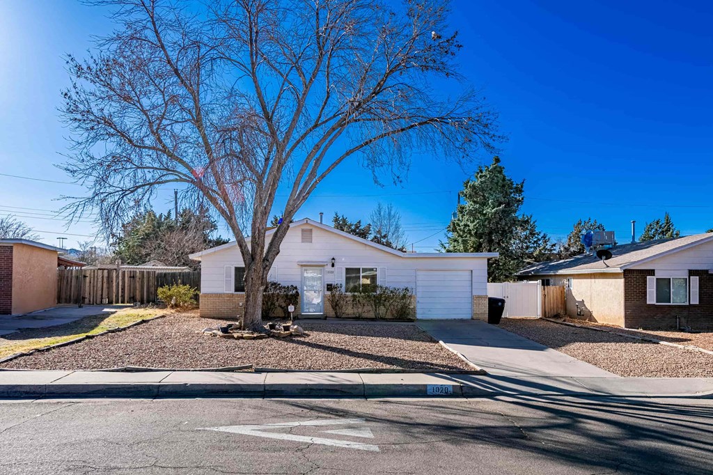 a white house with a driveway and a tree in front of it