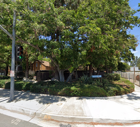 a street corner with a tree and a traffic light