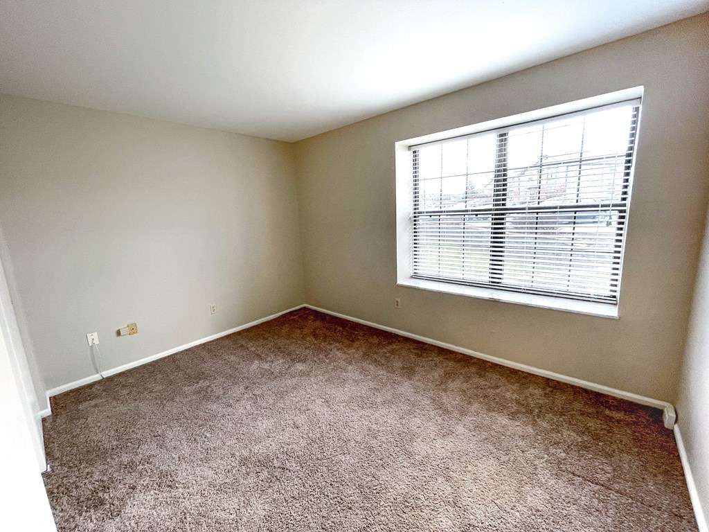 an empty bedroom with a large window and carpeting