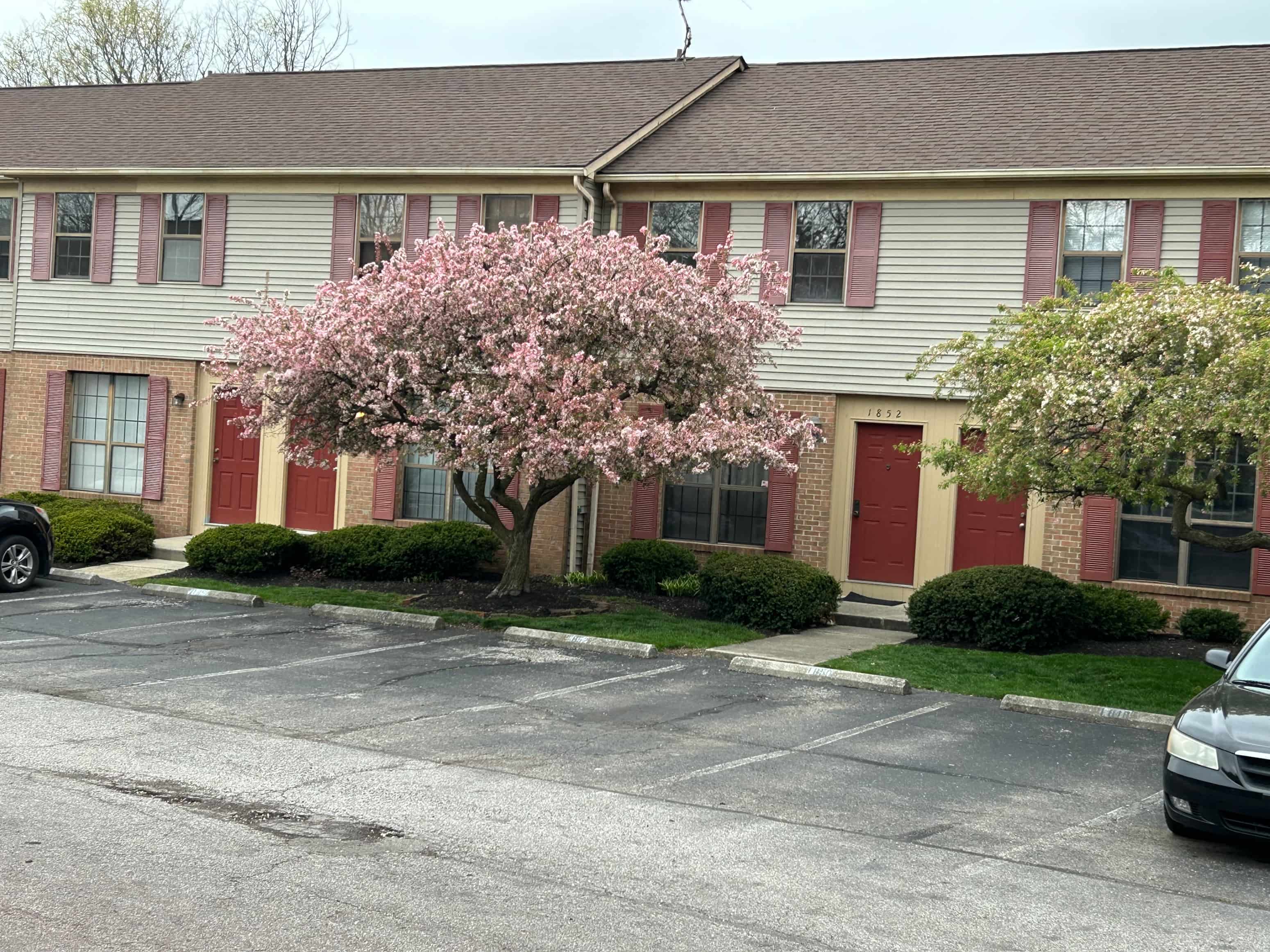 our apartments are located in a quiet neighborhood with ample parking