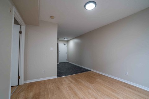 A room with a wooden floor and a ceiling light.