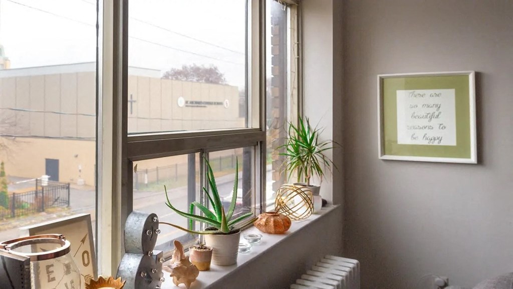 a window sill with plants and other items on it