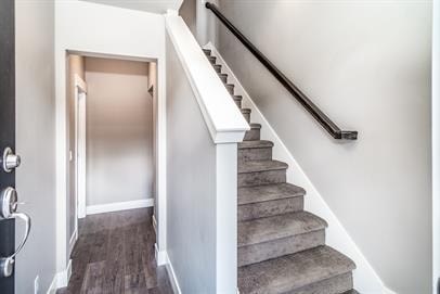 A staircase with a white railing and a brown carpeted runner.
