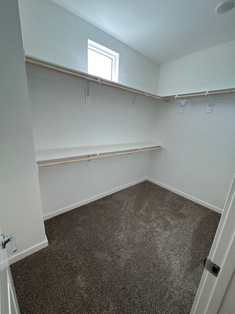 an empty room with a carpeted floor and a window