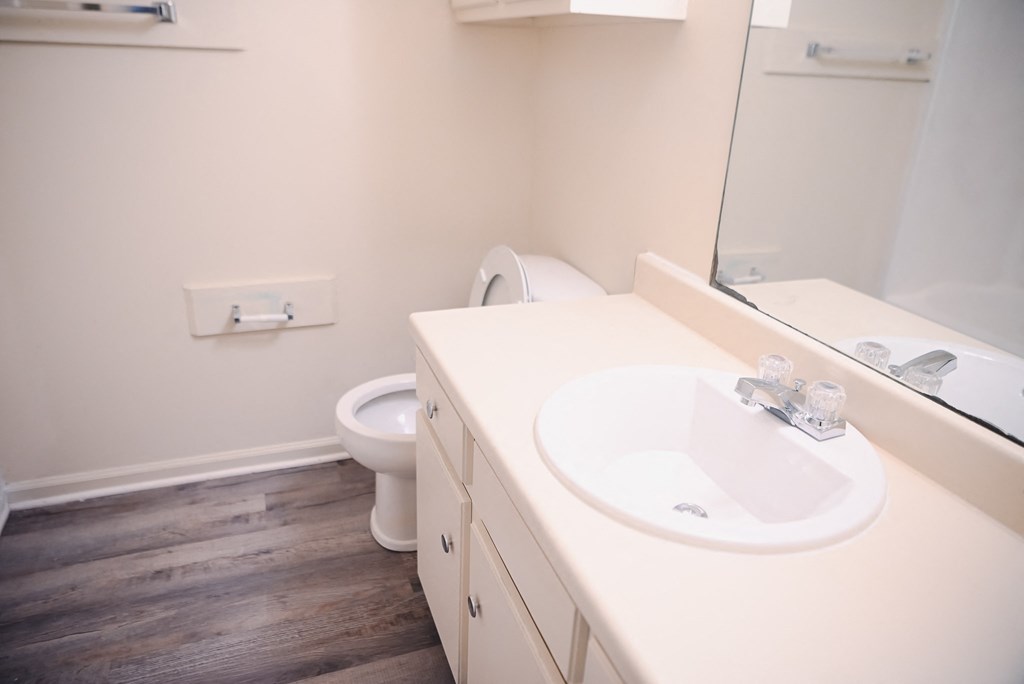 a bathroom with a sink and a toilet and a mirror