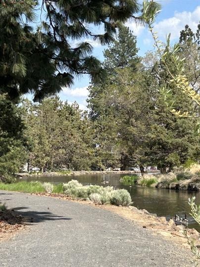 A paved walkway runs alongside a body of water.