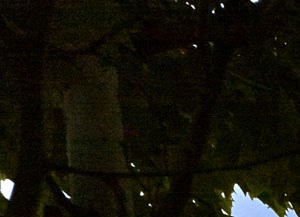 Munhall Pa Apartments For Rent Rentcafe