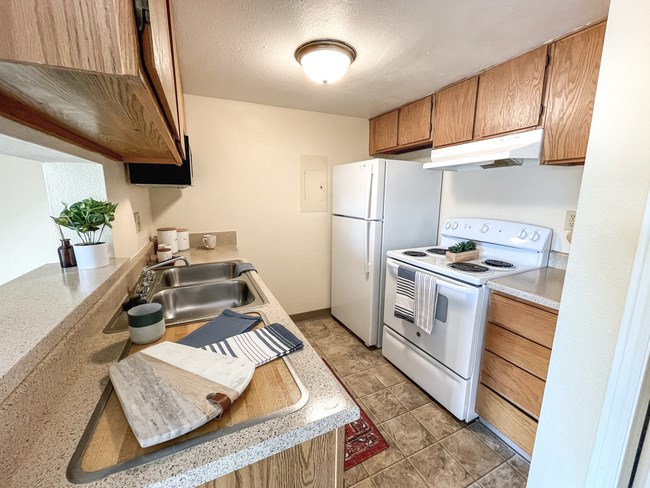 a kitchen with a sink and a stove and a refrigerator