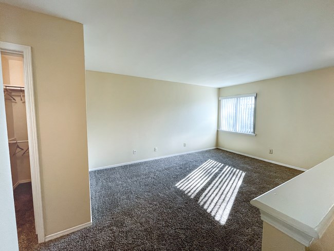 an empty living room with carpet and a window