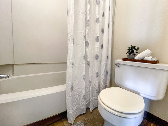 a bathroom with a toilet and a shower curtain