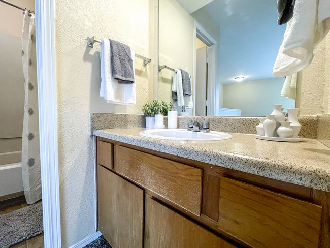 the preserve at ballantyne commons apartment bathroom with sink and mirror