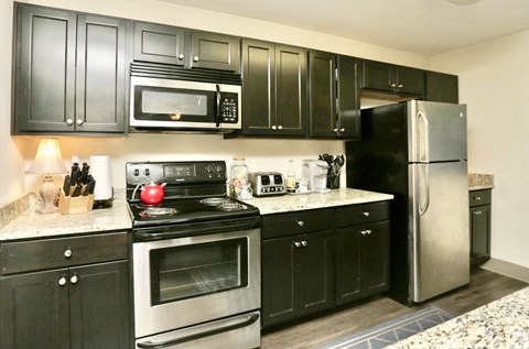 a kitchen with stainless steel appliances and black cabinets