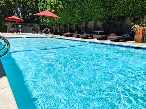 A swimming pool with red umbrellas and lounge chairs.