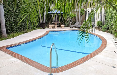 a large swimming pool in a backyard with palm trees