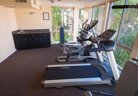 A home gym with treadmills and elliptical machines.