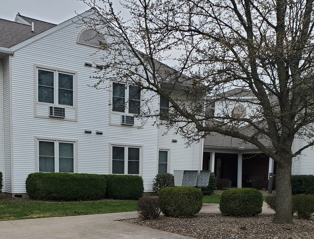 a white house with a tree in front of it