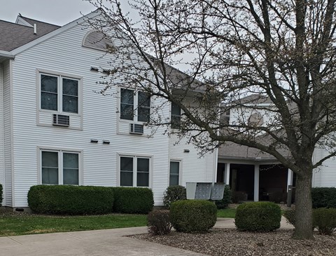 a white house with a tree in front of it
